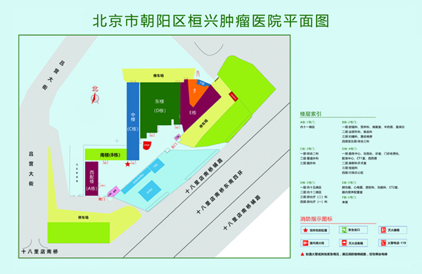 老公你弄得我好痛啊插紧一点插紧一点北京市朝阳区桓兴肿瘤医院平面图